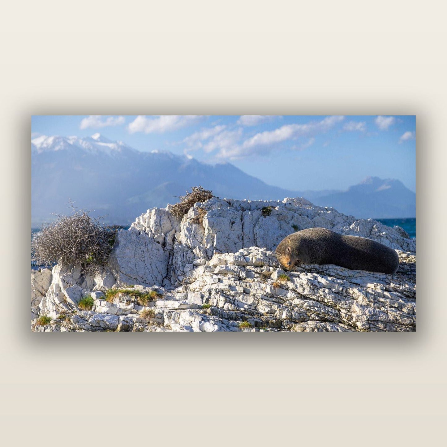 Limestone Lounging, Kaikōura — frameless acrylic glass print. New Zealand fine art landscape photography by Stephen Milner.