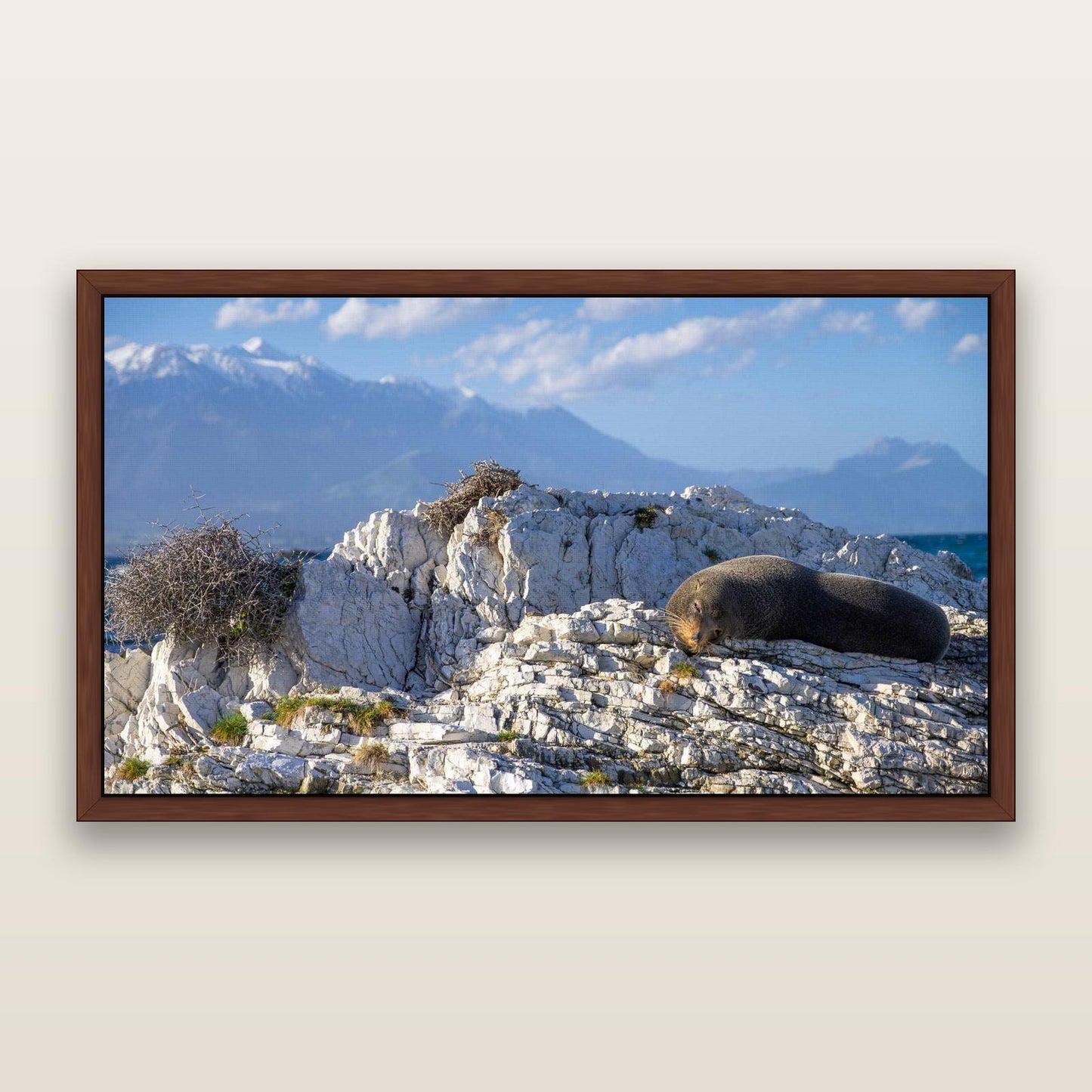 Limestone Lounging, Kaikōura — framed metallic canvas print, Brown frame. New Zealand fine art landscape wall art by Stephen Milner.