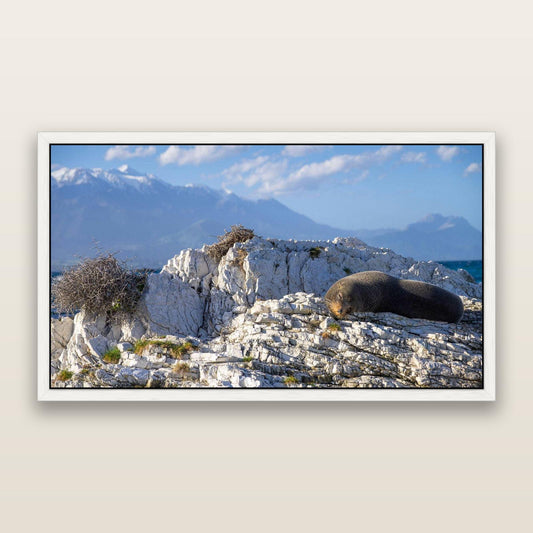 Limestone Lounging, Kaikōura — framed metallic canvas print, White frame. New Zealand fine art landscape wall art by Stephen Milner.