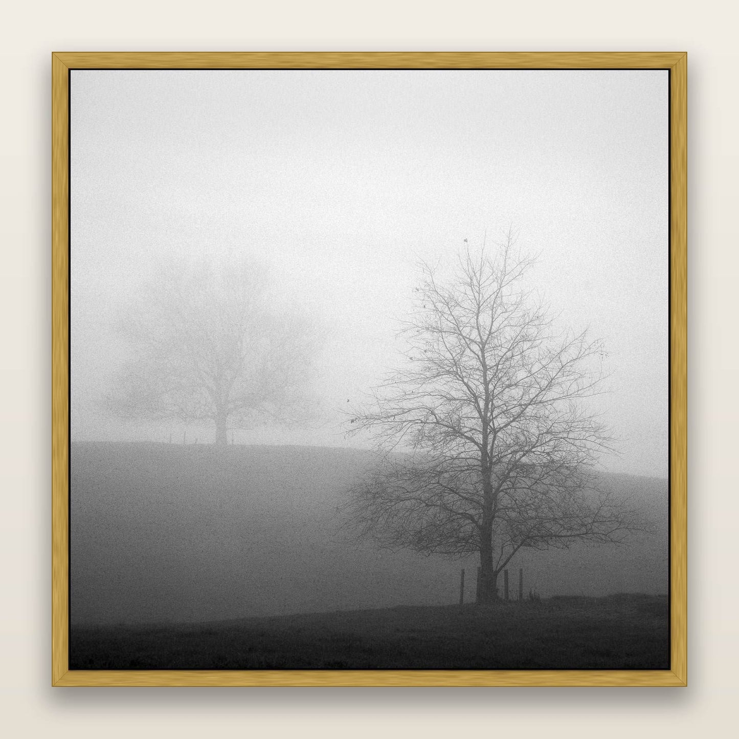 Misty Encounter, Waikato — framed metallic canvas print, Antique Gold frame. New Zealand fine art landscape wall art by Stephen Milner.