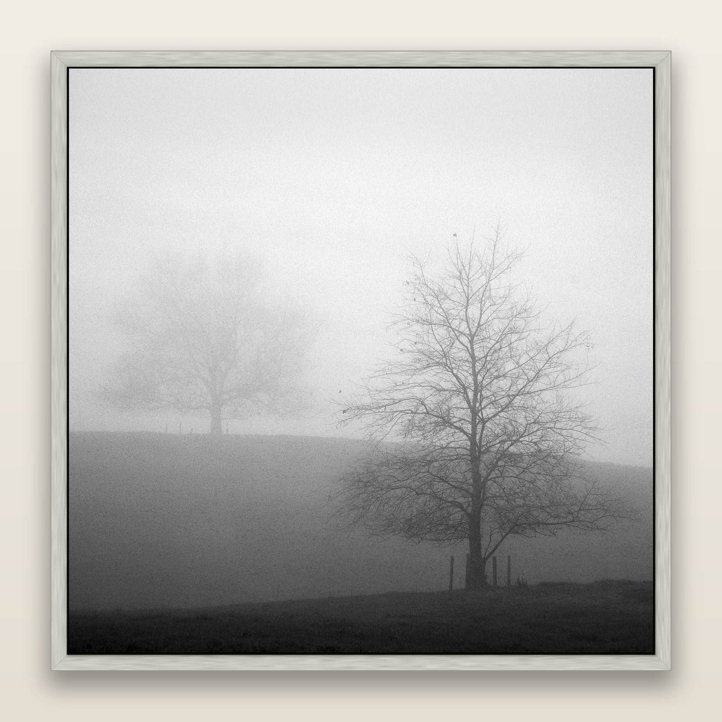 Misty Encounter, Waikato — framed metallic canvas print, Antique Silver frame. New Zealand fine art landscape wall art by Stephen Milner.