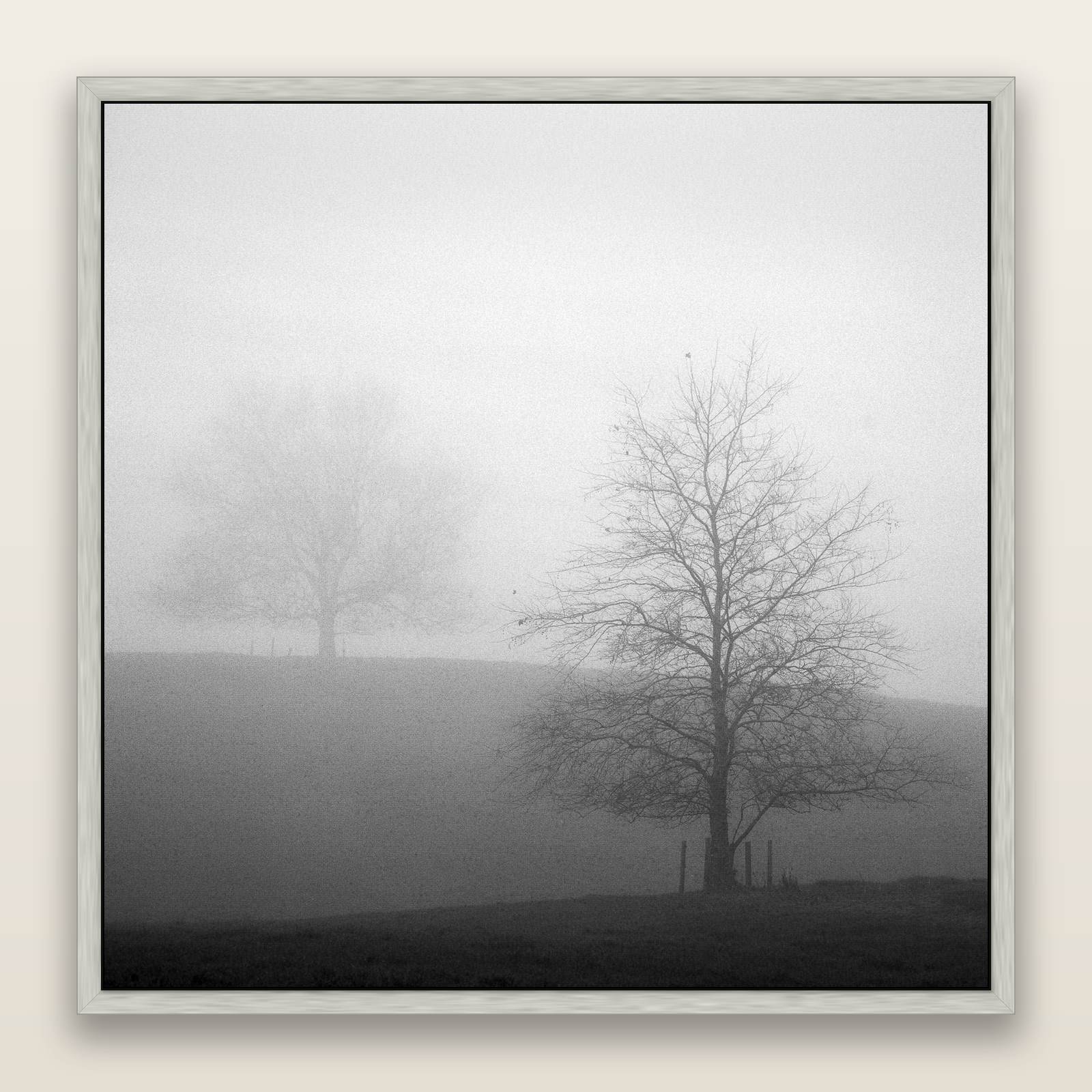 Misty Encounter, Waikato — framed metallic canvas print, Antique Silver frame. New Zealand fine art landscape wall art by Stephen Milner.