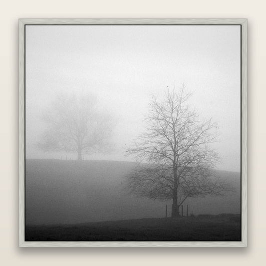 Misty Encounter, Waikato — framed metallic canvas print, Antique Silver frame. New Zealand fine art landscape wall art by Stephen Milner.