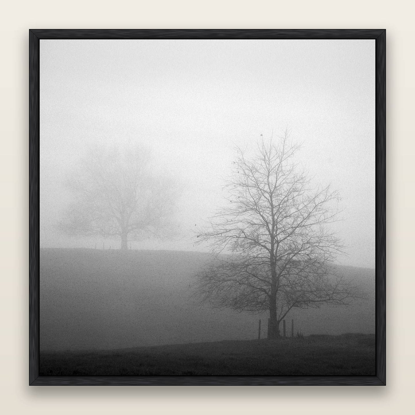 Misty Encounter, Waikato — framed metallic canvas print, Black frame. New Zealand fine art landscape wall art by Stephen Milner.