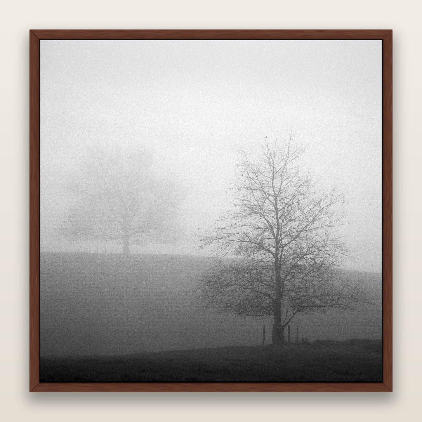 Misty Encounter, Waikato — framed metallic canvas print, Brown frame. New Zealand fine art landscape wall art by Stephen Milner.