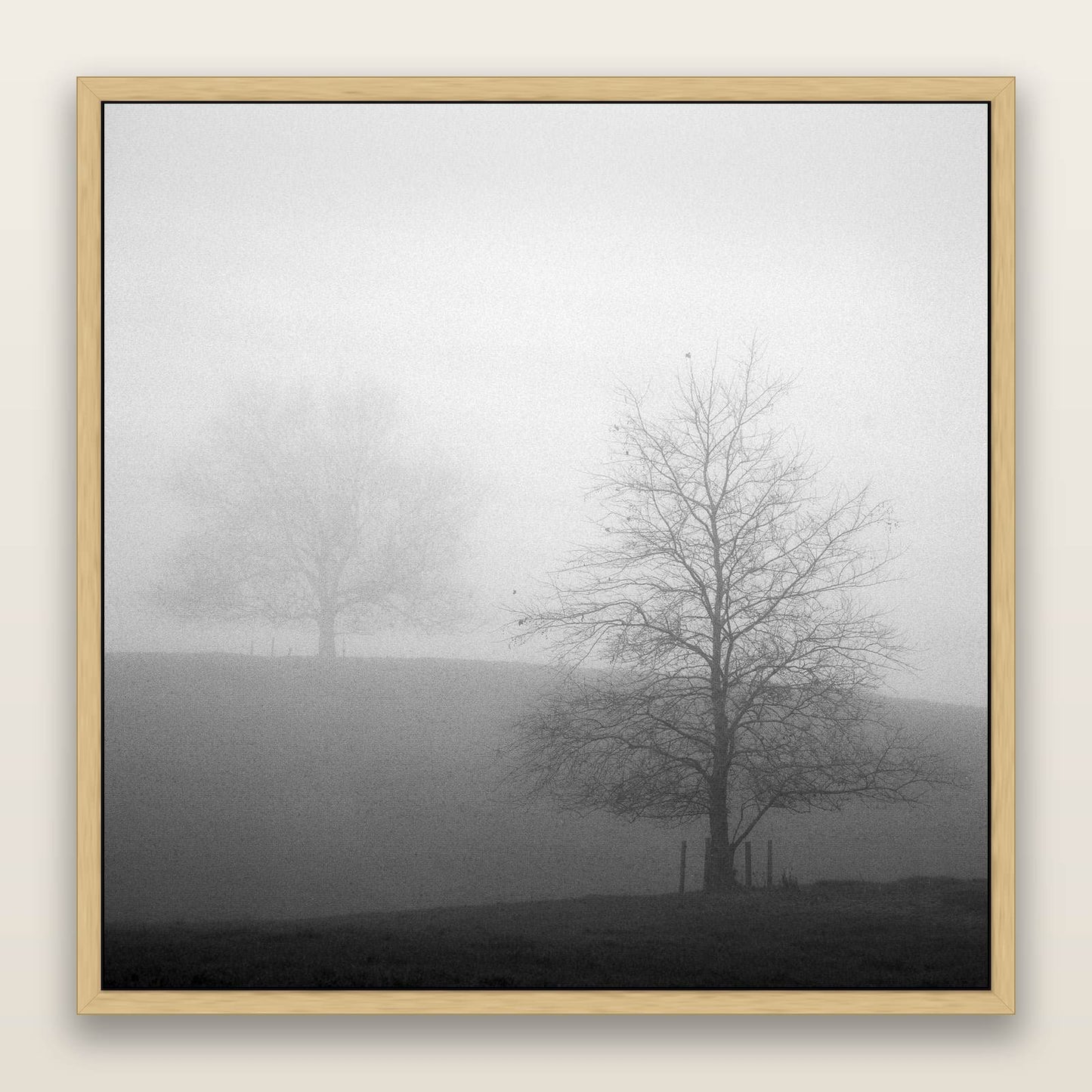 Misty Encounter, Waikato — framed metallic canvas print, Natural frame. New Zealand fine art landscape wall art by Stephen Milner.