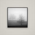Misty Encounter, Waikato — Basel Black, 80×80 cm. New Zealand fine art wall art by Stephen Milner.