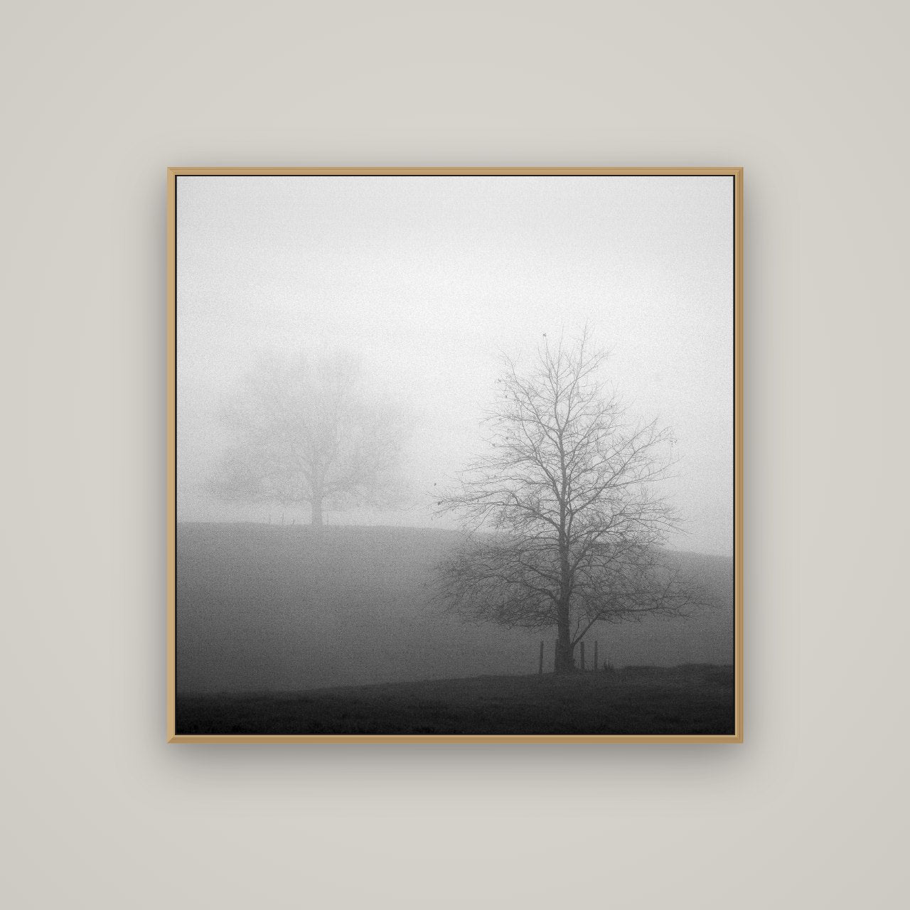 Misty Encounter, Waikato, Basel Natural Oak, 100×100 cm. New Zealand fine art wall art by Stephen Milner.