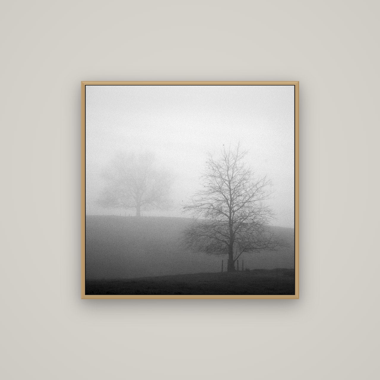 Misty Encounter, Waikato, Basel Natural Oak, 80×80 cm. New Zealand fine art wall art by Stephen Milner.