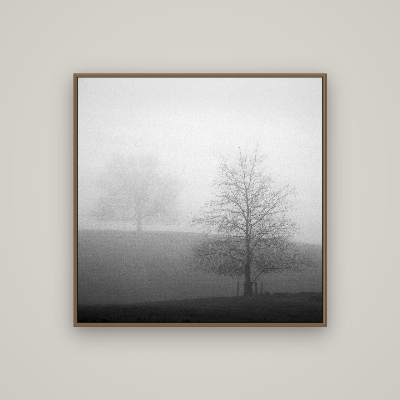 Misty Encounter, Waikato, Basel Walnut, 100×100 cm. New Zealand fine art wall art by Stephen Milner.