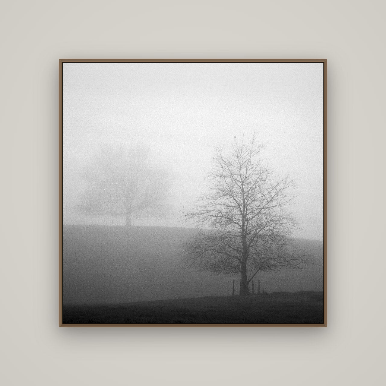 Misty Encounter, Waikato, Basel Walnut, 120×120 cm. New Zealand fine art wall art by Stephen Milner.