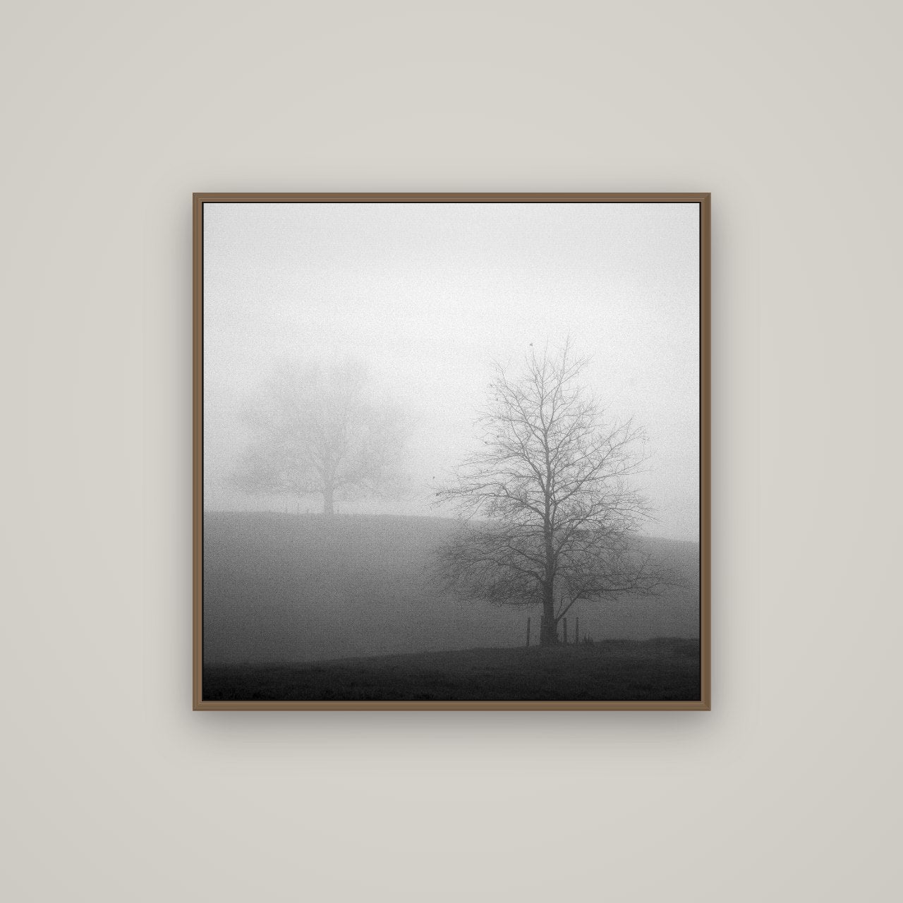 Misty Encounter, Waikato, Basel Walnut, 80×80 cm. New Zealand fine art wall art by Stephen Milner.