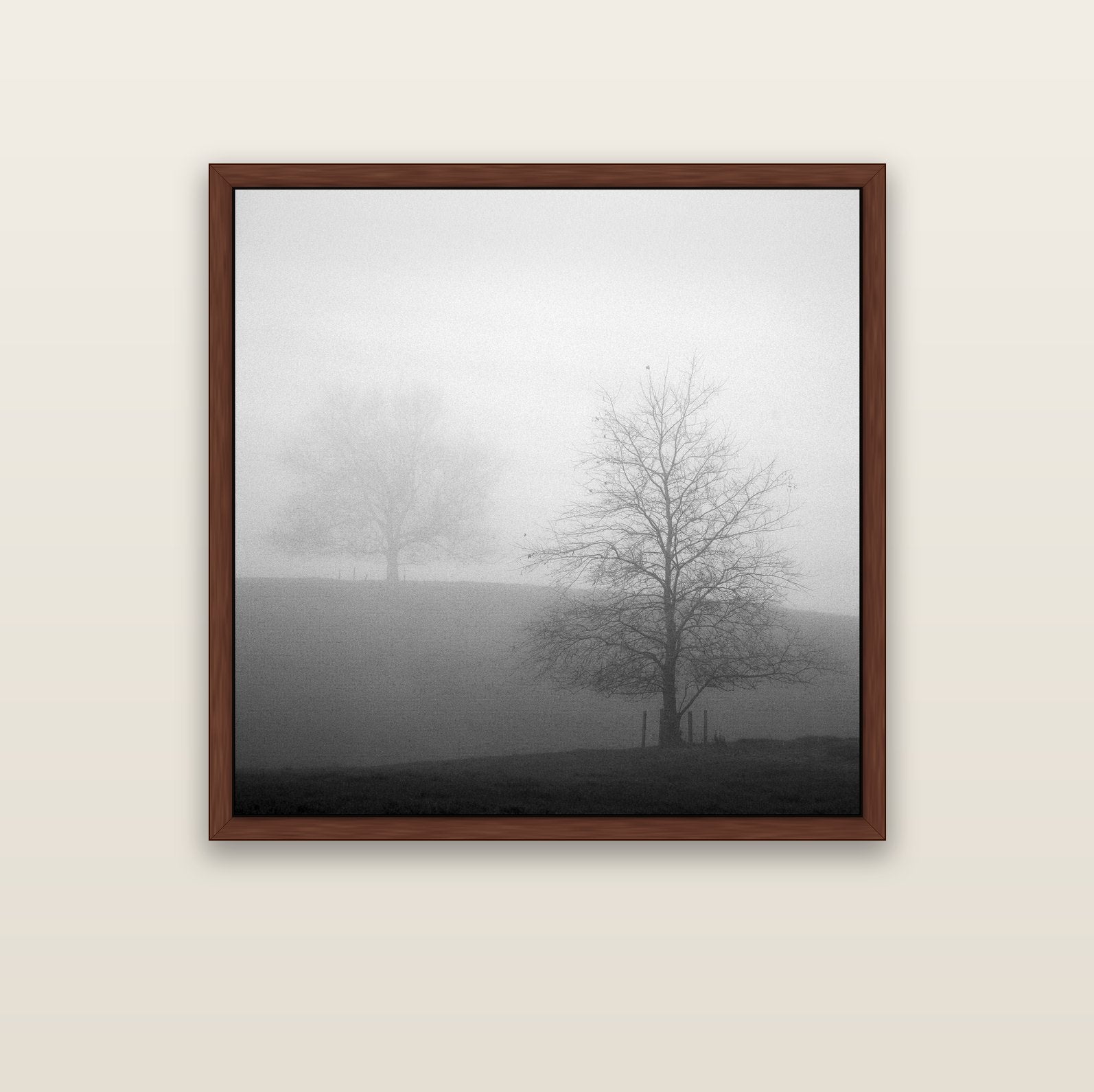 Misty Encounter, Waikato — brown float frame canvas, 102 × 102 cm. New Zealand fine art landscape wall art by Stephen Milner.
