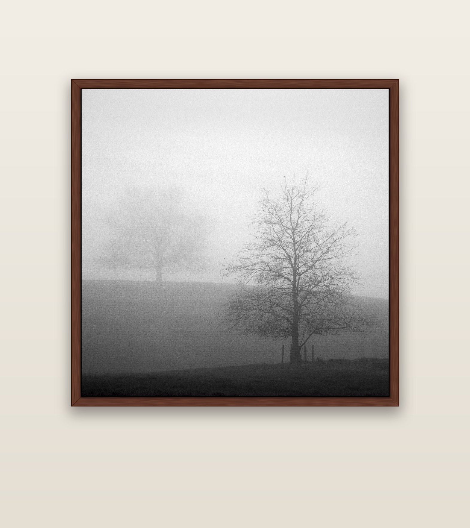 Misty Encounter, Waikato — brown float frame canvas, 127 × 127 cm. New Zealand fine art landscape wall art by Stephen Milner.