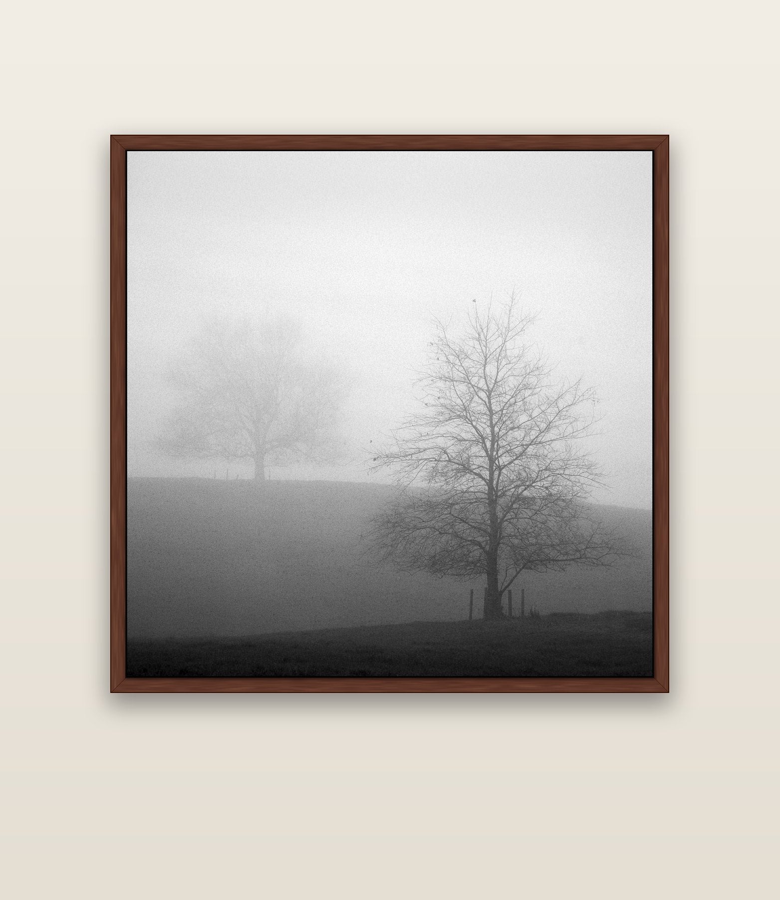 Misty Encounter, Waikato — brown float frame canvas, 133 × 133 cm. New Zealand fine art landscape wall art by Stephen Milner.