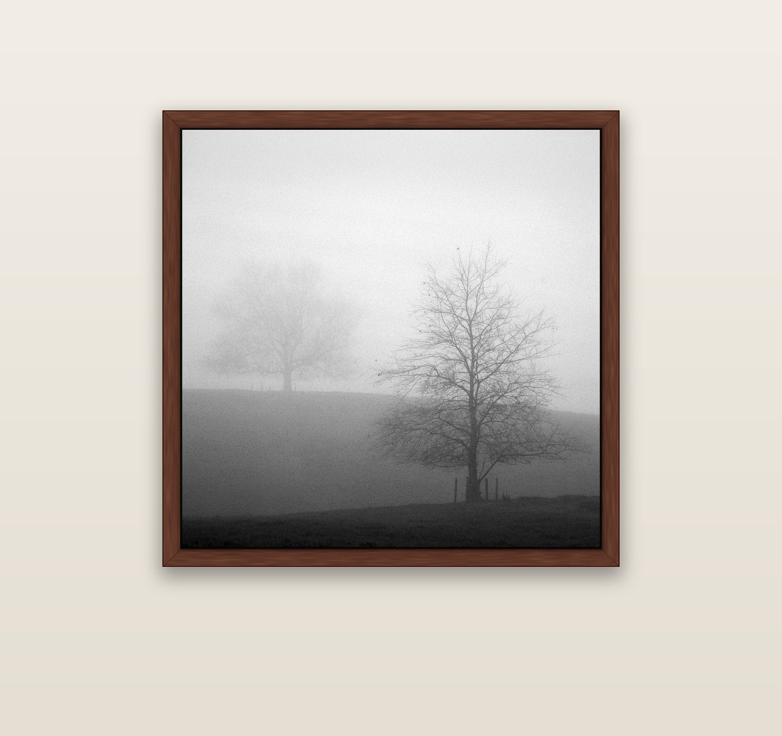 Misty Encounter, Waikato — brown float frame canvas, 91 × 91 cm. New Zealand fine art landscape wall art by Stephen Milner.