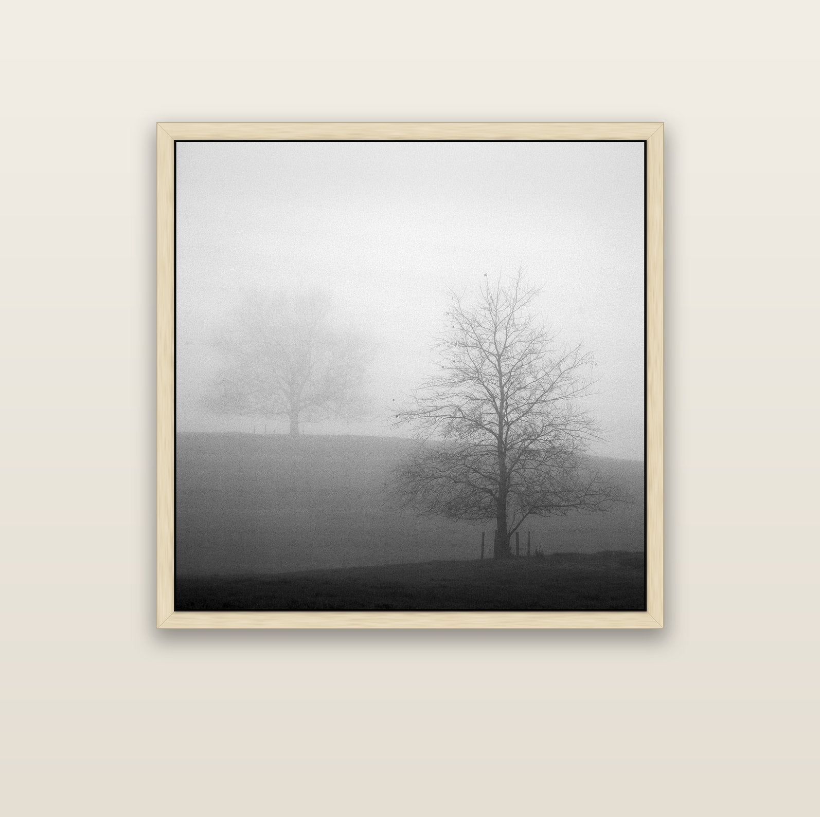 Misty Encounter, Waikato — natural float frame canvas, 102 × 102 cm. New Zealand fine art landscape wall art by Stephen Milner.