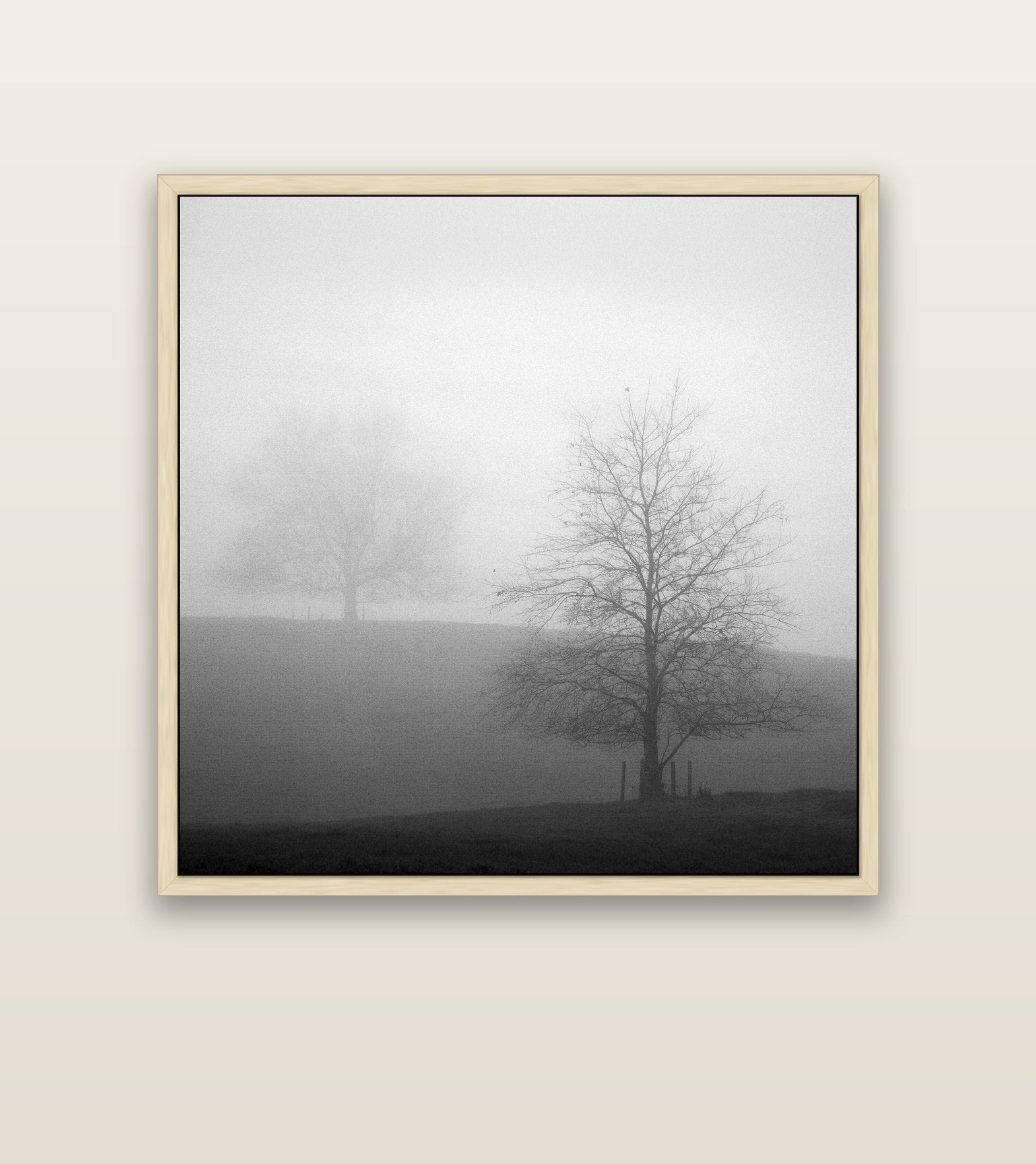 Misty Encounter, Waikato — natural float frame canvas, 127 × 127 cm. New Zealand fine art landscape wall art by Stephen Milner.