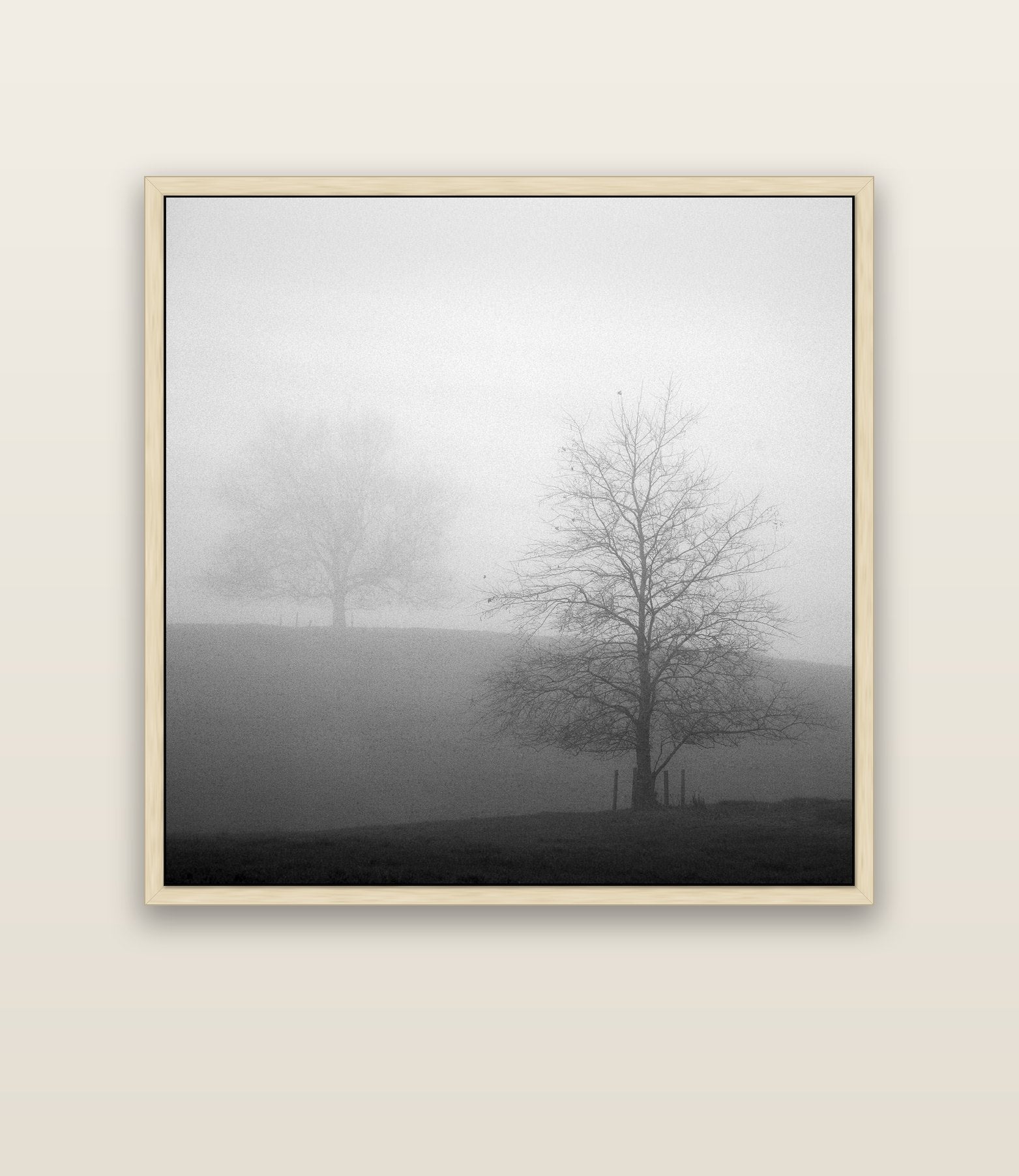 Misty Encounter, Waikato — natural float frame canvas, 133 × 133 cm. New Zealand fine art landscape wall art by Stephen Milner.