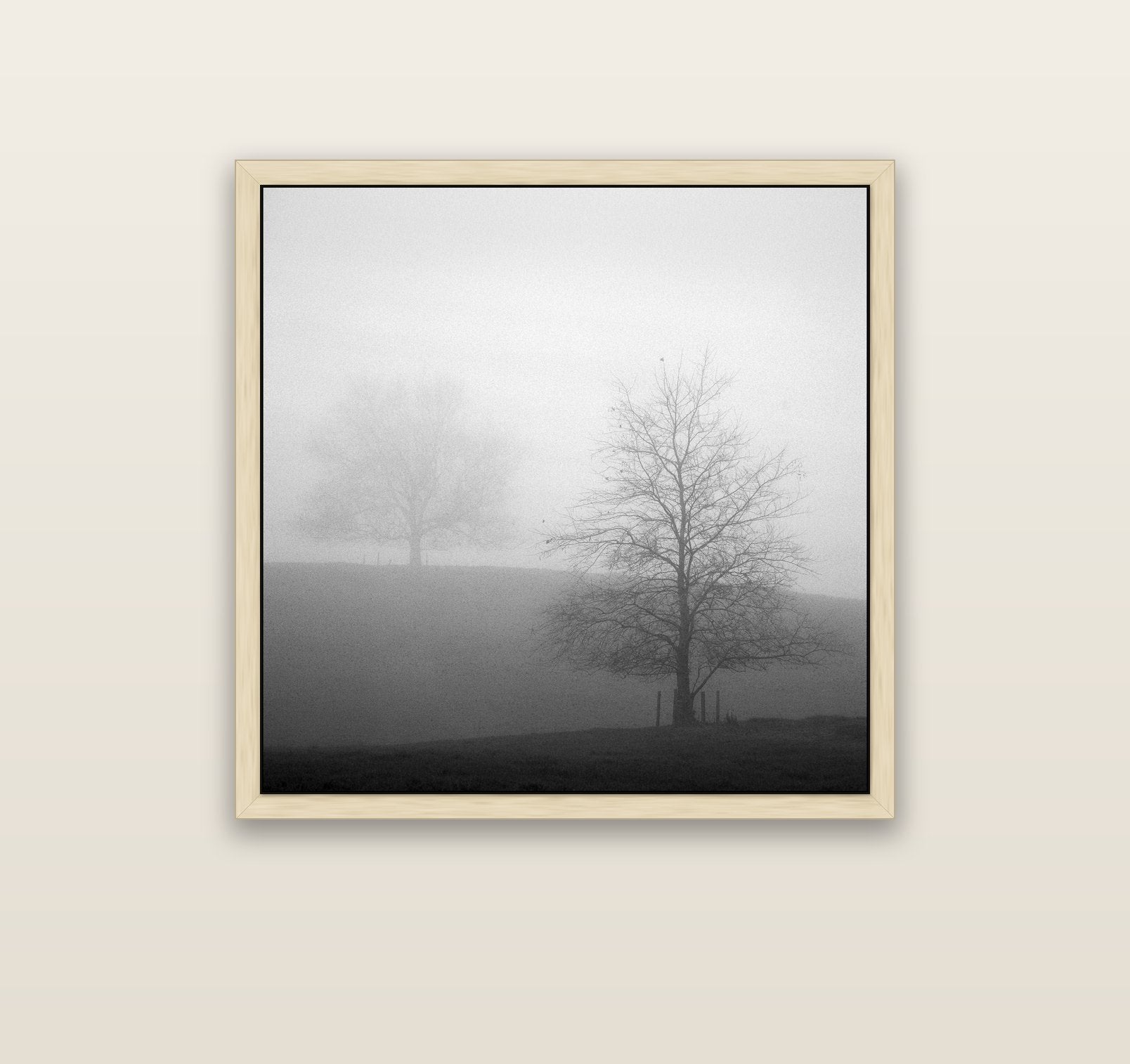 Misty Encounter, Waikato — natural float frame canvas, 91 × 91 cm. New Zealand fine art landscape wall art by Stephen Milner.