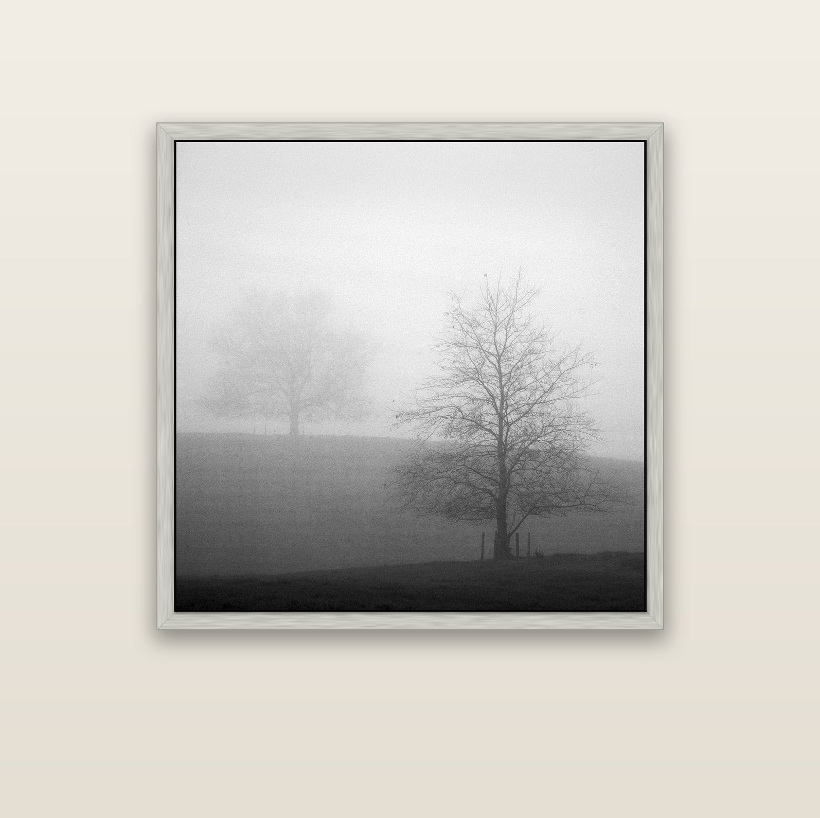Misty Encounter, Waikato — silver float frame canvas, 102 × 102 cm. New Zealand fine art landscape wall art by Stephen Milner.