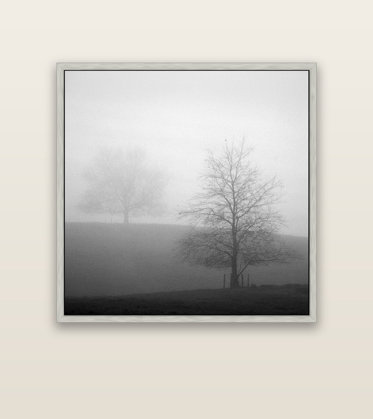 Misty Encounter, Waikato — silver float frame canvas, 127 × 127 cm. New Zealand fine art landscape wall art by Stephen Milner.