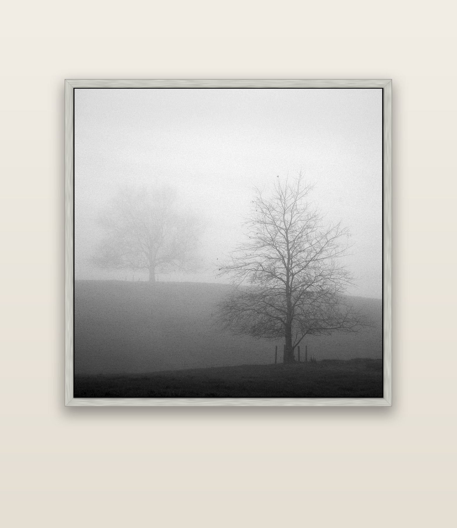 Misty Encounter, Waikato — silver float frame canvas, 133 × 133 cm. New Zealand fine art landscape wall art by Stephen Milner.