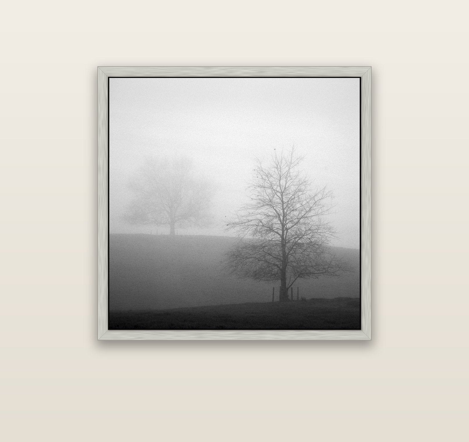 Misty Encounter, Waikato — silver float frame canvas, 91 × 91 cm. New Zealand fine art landscape wall art by Stephen Milner.