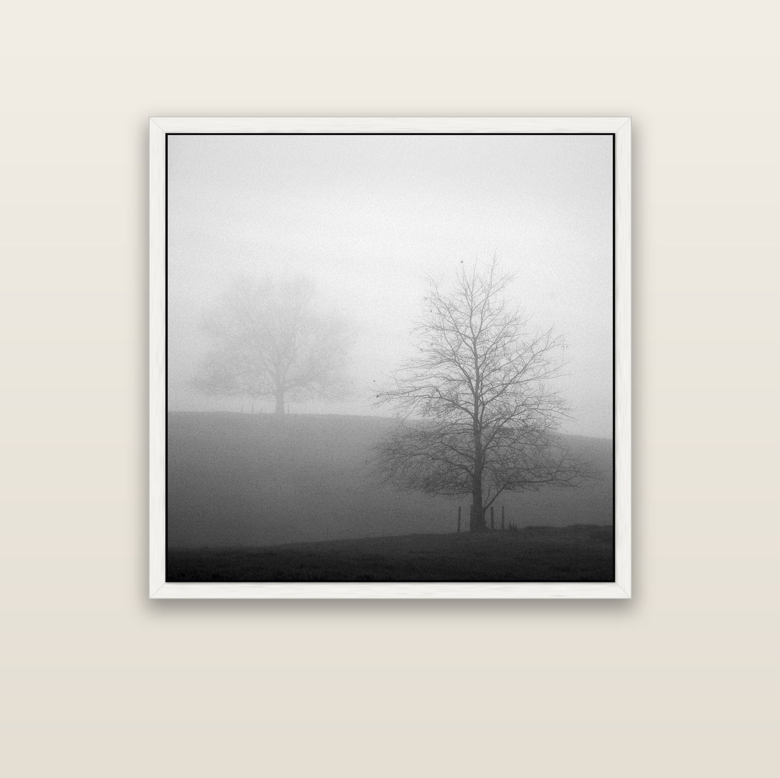 Misty Encounter, Waikato — white float frame canvas, 102 × 102 cm. New Zealand fine art landscape wall art by Stephen Milner.