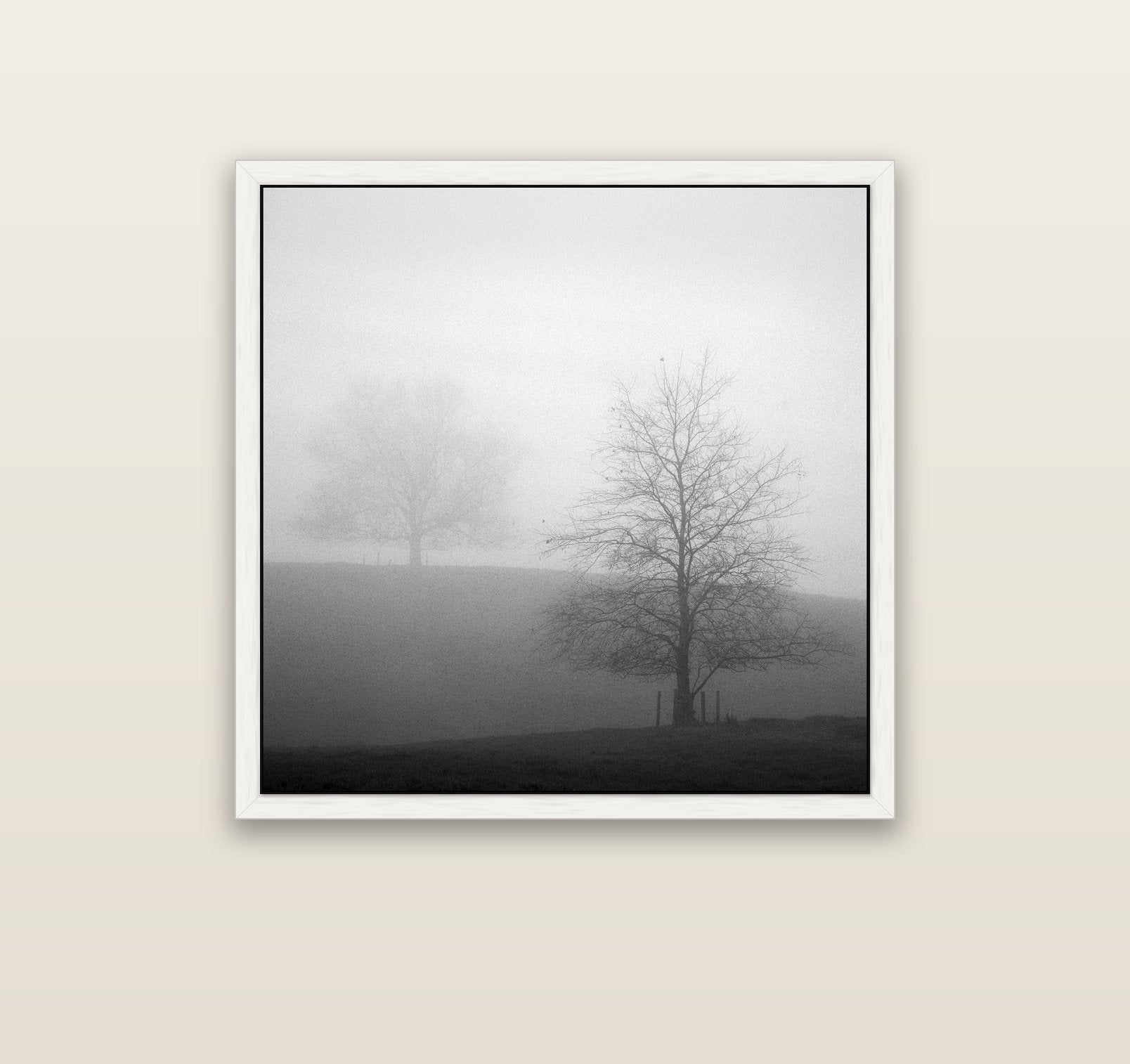 Misty Encounter, Waikato — white float frame canvas, 91 × 91 cm. New Zealand fine art landscape wall art by Stephen Milner.