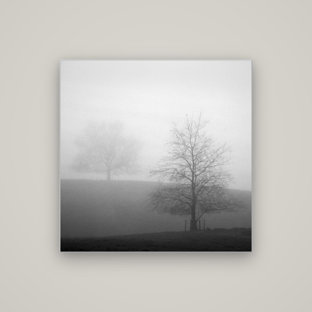 Misty Encounter, Waikato — Slimline Silver, 100×100 cm. New Zealand fine art wall art by Stephen Milner.