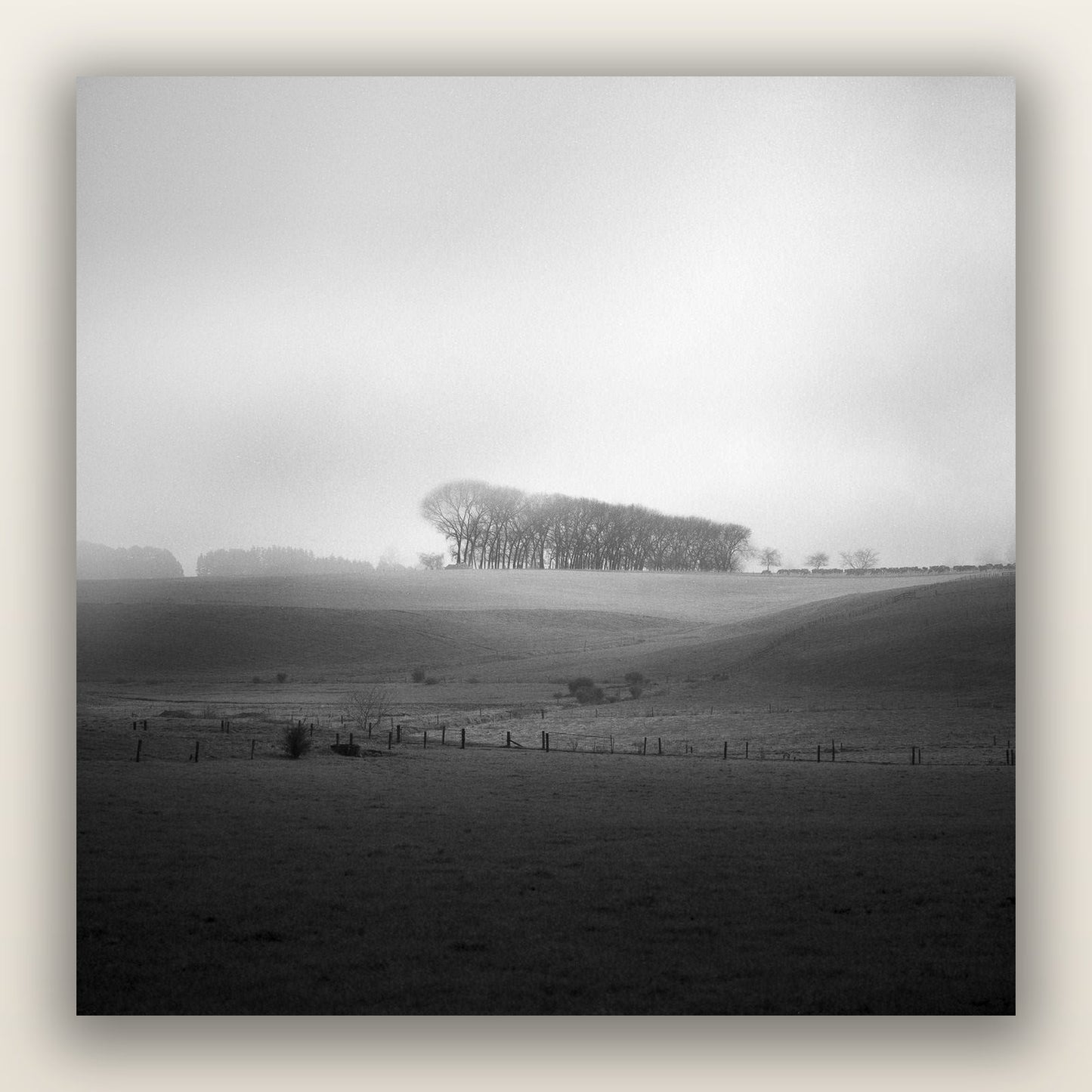 Misty Horizon, Waikato — frameless acrylic glass print. New Zealand fine art landscape photography by Stephen Milner.