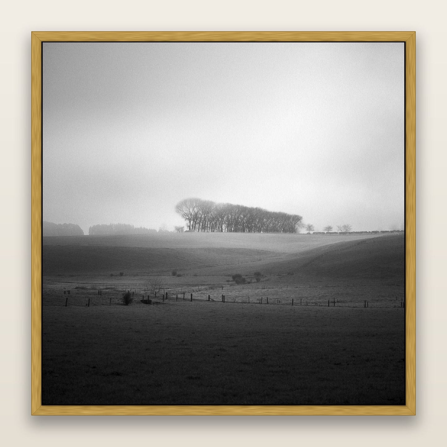 Misty Horizon, Waikato — framed metallic canvas print, Antique Gold frame. New Zealand fine art landscape wall art by Stephen Milner.