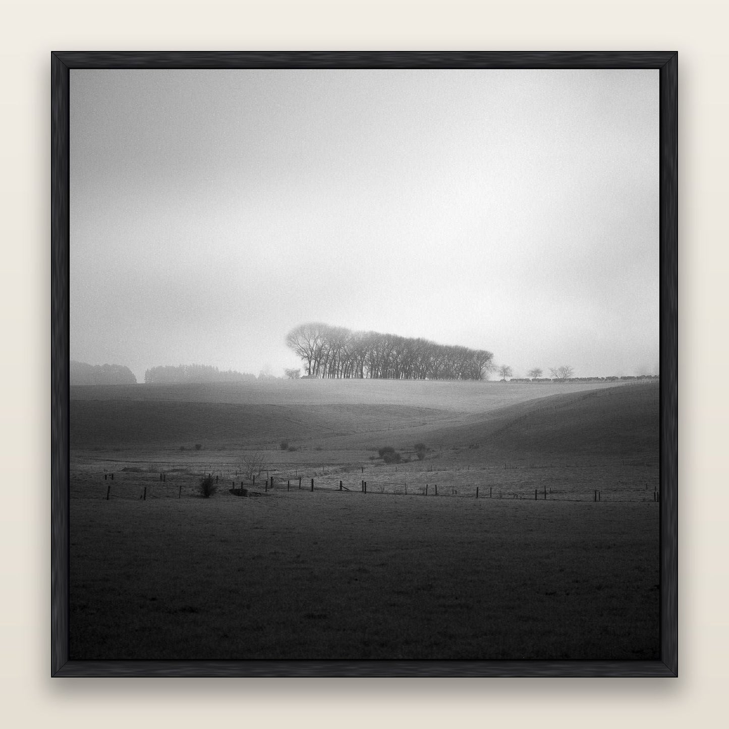 Misty Horizon, Waikato — framed metallic canvas print, Black frame. New Zealand fine art landscape wall art by Stephen Milner.