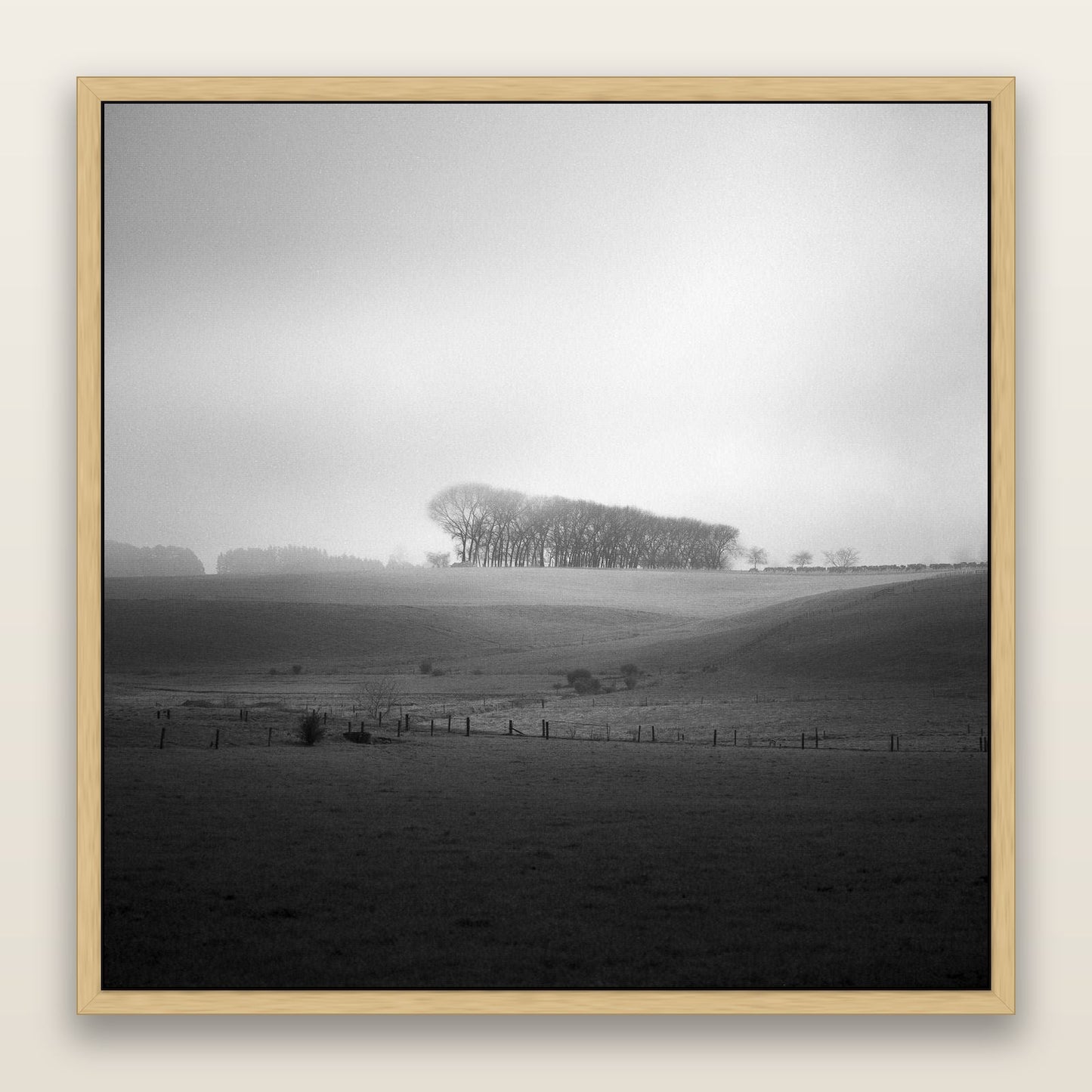 Misty Horizon, Waikato — framed metallic canvas print, Natural frame. New Zealand fine art landscape wall art by Stephen Milner.