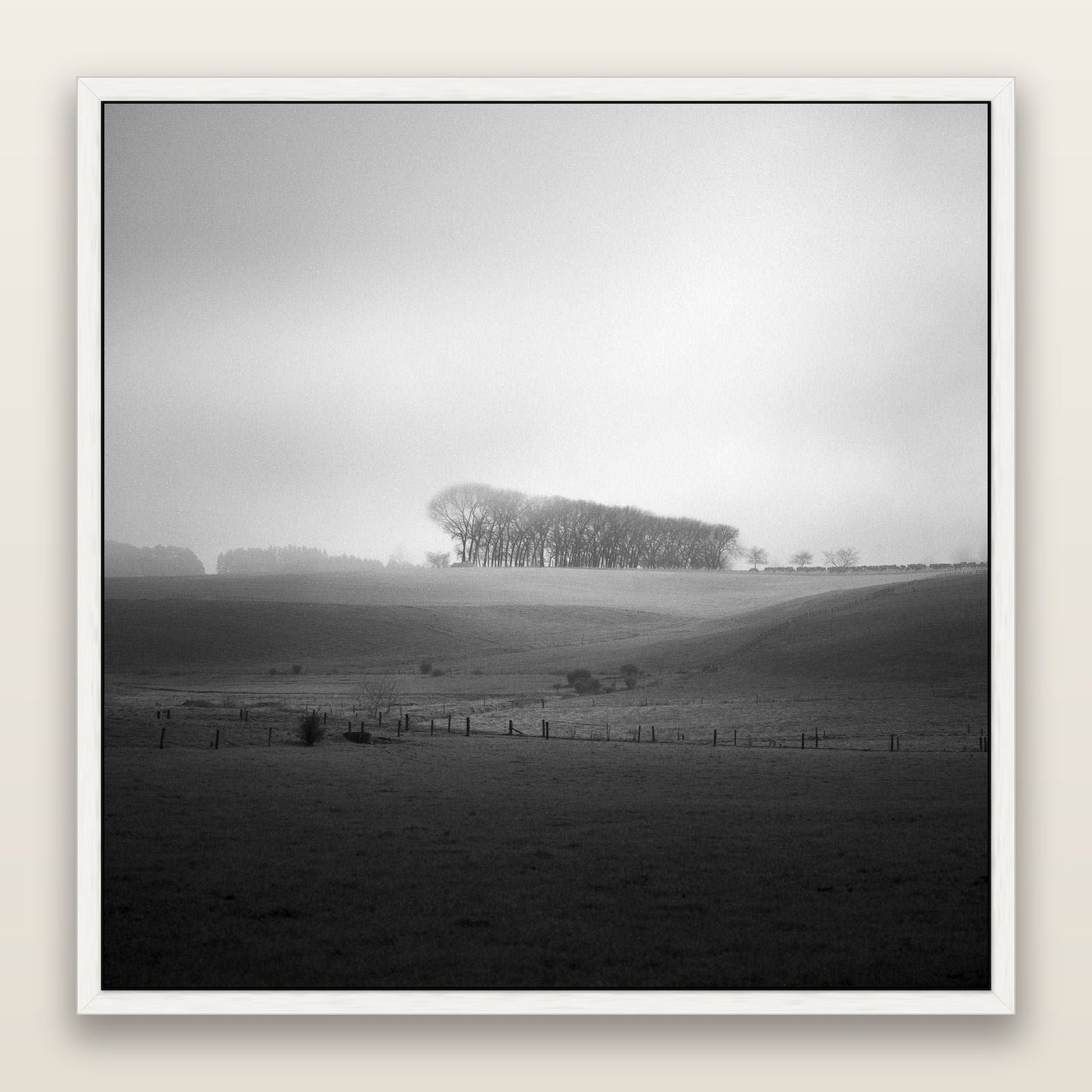 Misty Horizon, Waikato — framed metallic canvas print, White frame. New Zealand fine art landscape wall art by Stephen Milner.