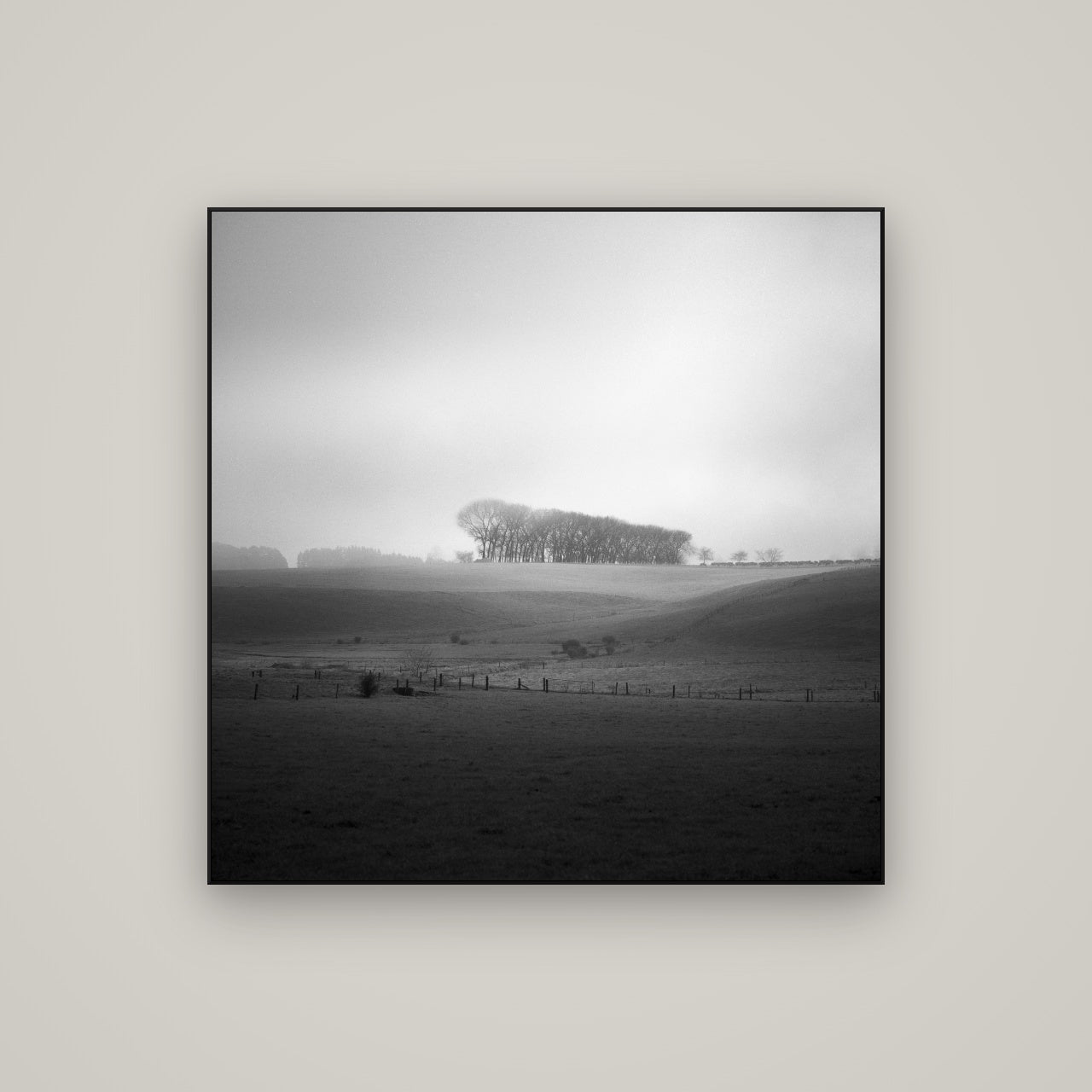 Misty Horizon, Waikato — ArtBox Black, 100×100 cm. New Zealand fine art wall art by Stephen Milner.