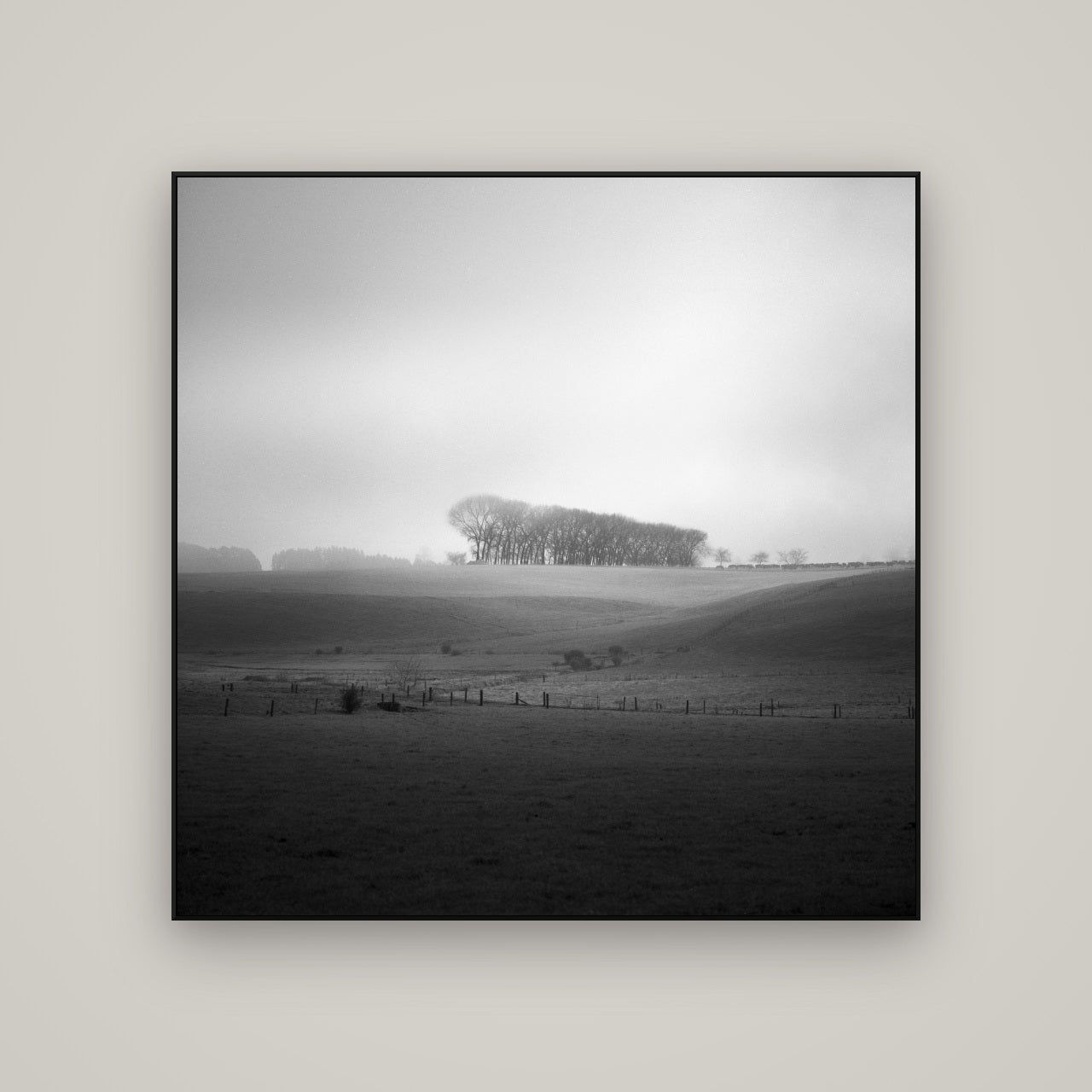 Misty Horizon, Waikato — ArtBox Black, 120×120 cm. New Zealand fine art wall art by Stephen Milner.