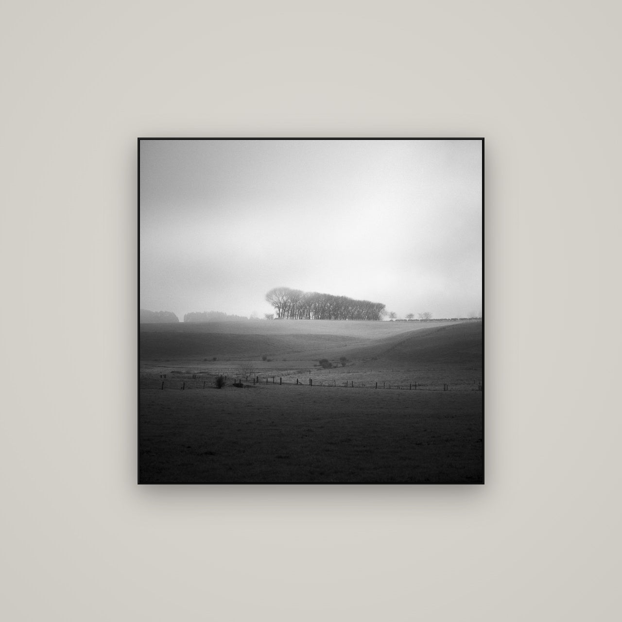 Misty Horizon, Waikato — ArtBox Black, 80×80 cm. New Zealand fine art wall art by Stephen Milner.