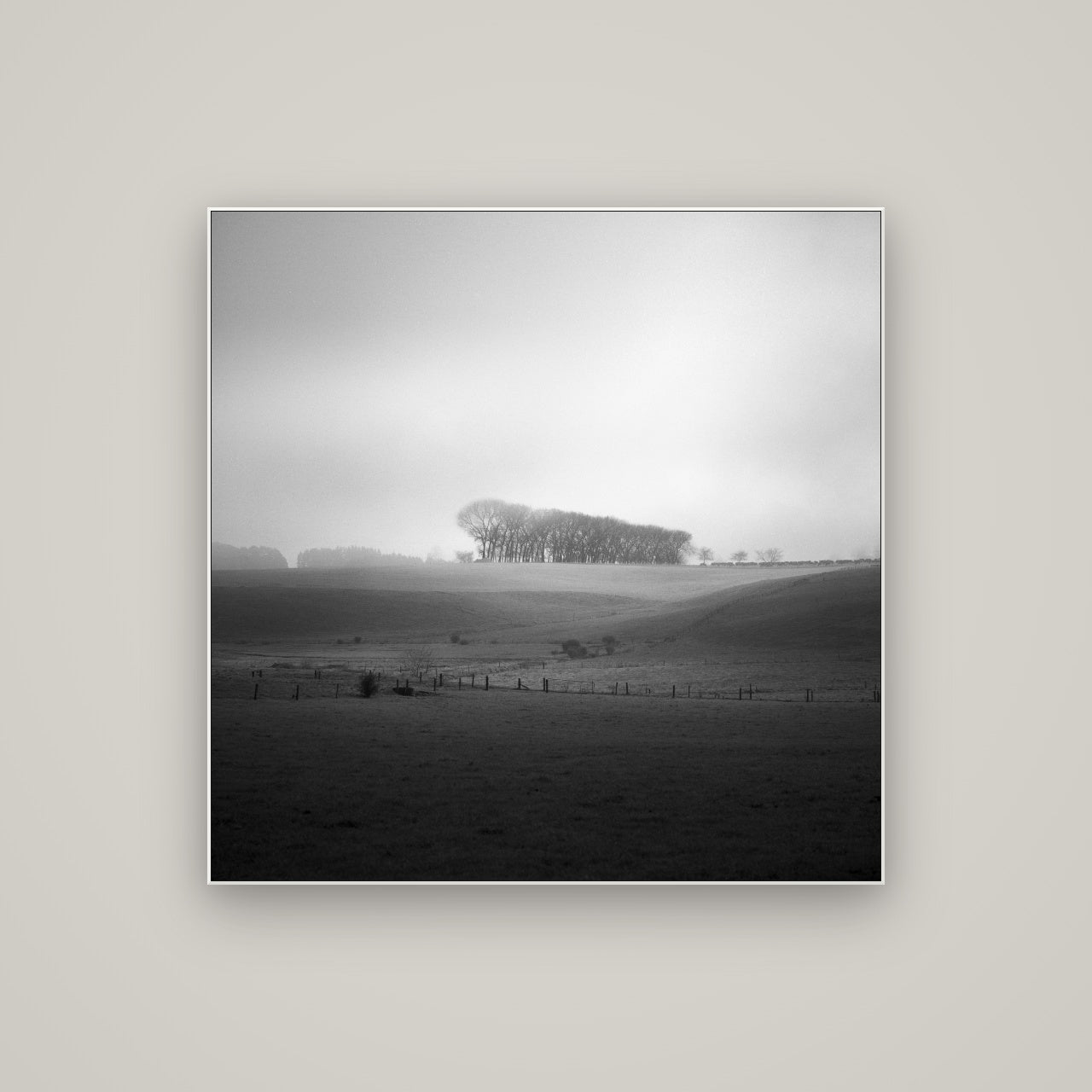 Misty Horizon, Waikato — ArtBox White, 100×100 cm. New Zealand fine art wall art by Stephen Milner.