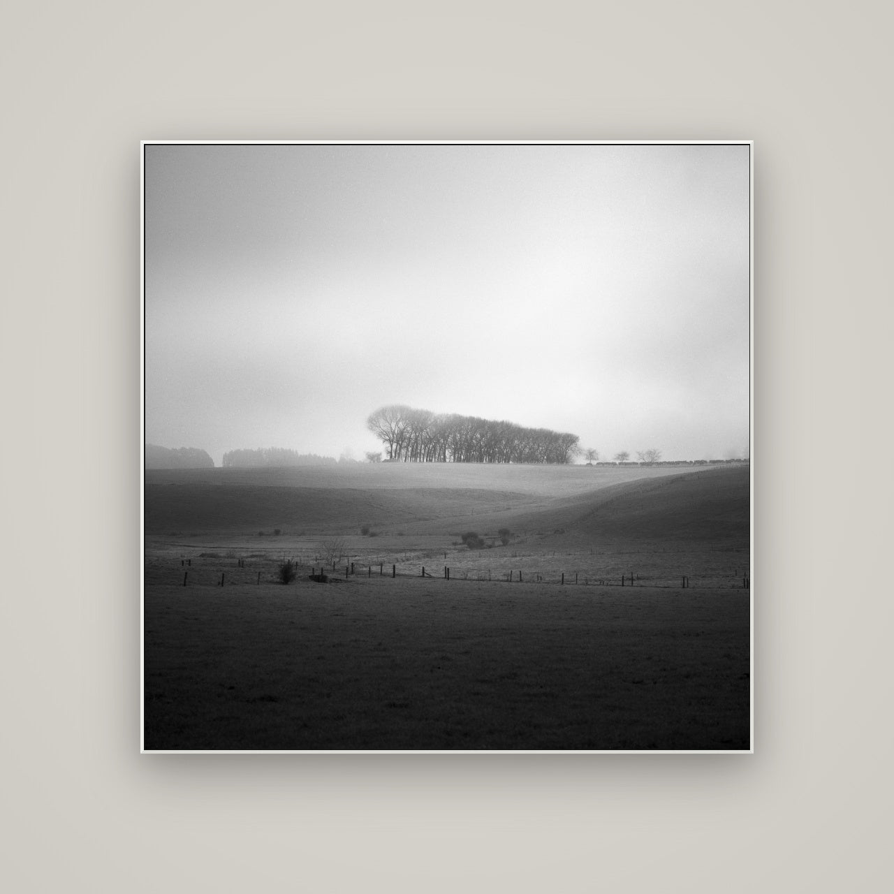 Misty Horizon, Waikato — ArtBox White, 120×120 cm. New Zealand fine art wall art by Stephen Milner.