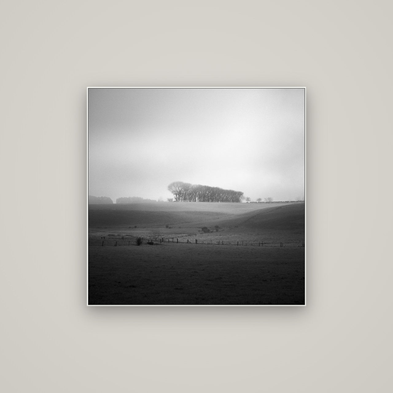Misty Horizon, Waikato — ArtBox White, 80×80 cm. New Zealand fine art wall art by Stephen Milner.