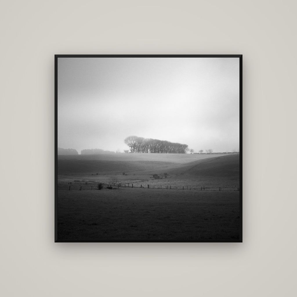 Misty Horizon, Waikato — Basel Black Matte, 100×100 cm. New Zealand fine art wall art by Stephen Milner.