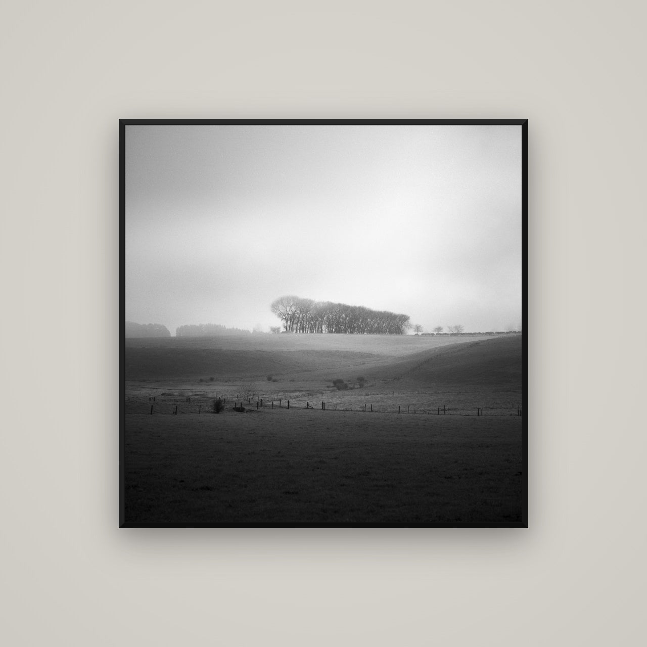 Misty Horizon, Waikato — Basel Black, 100×100 cm. New Zealand fine art wall art by Stephen Milner.