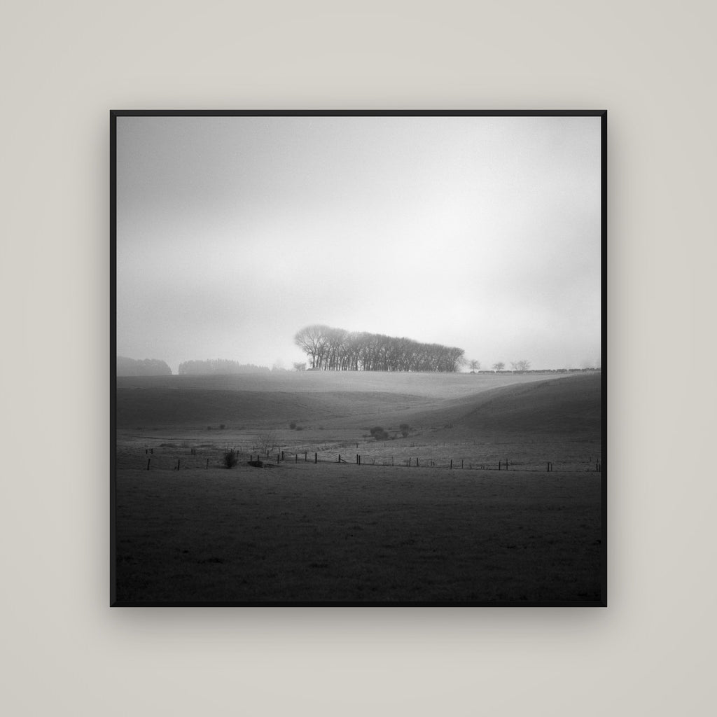 Misty Horizon, Waikato — Basel Black Matte, 120×120 cm. New Zealand fine art wall art by Stephen Milner.