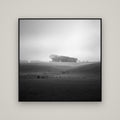 Misty Horizon, Waikato — Basel Black, 120×120 cm. New Zealand fine art wall art by Stephen Milner.