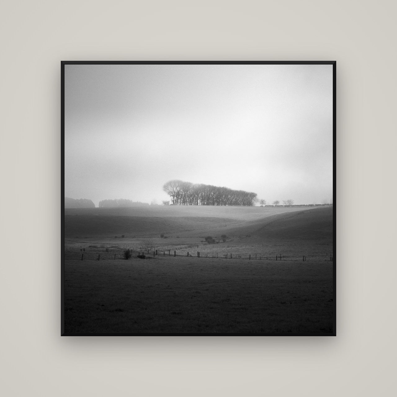 Misty Horizon, Waikato — Basel Black, 120×120 cm. New Zealand fine art wall art by Stephen Milner.