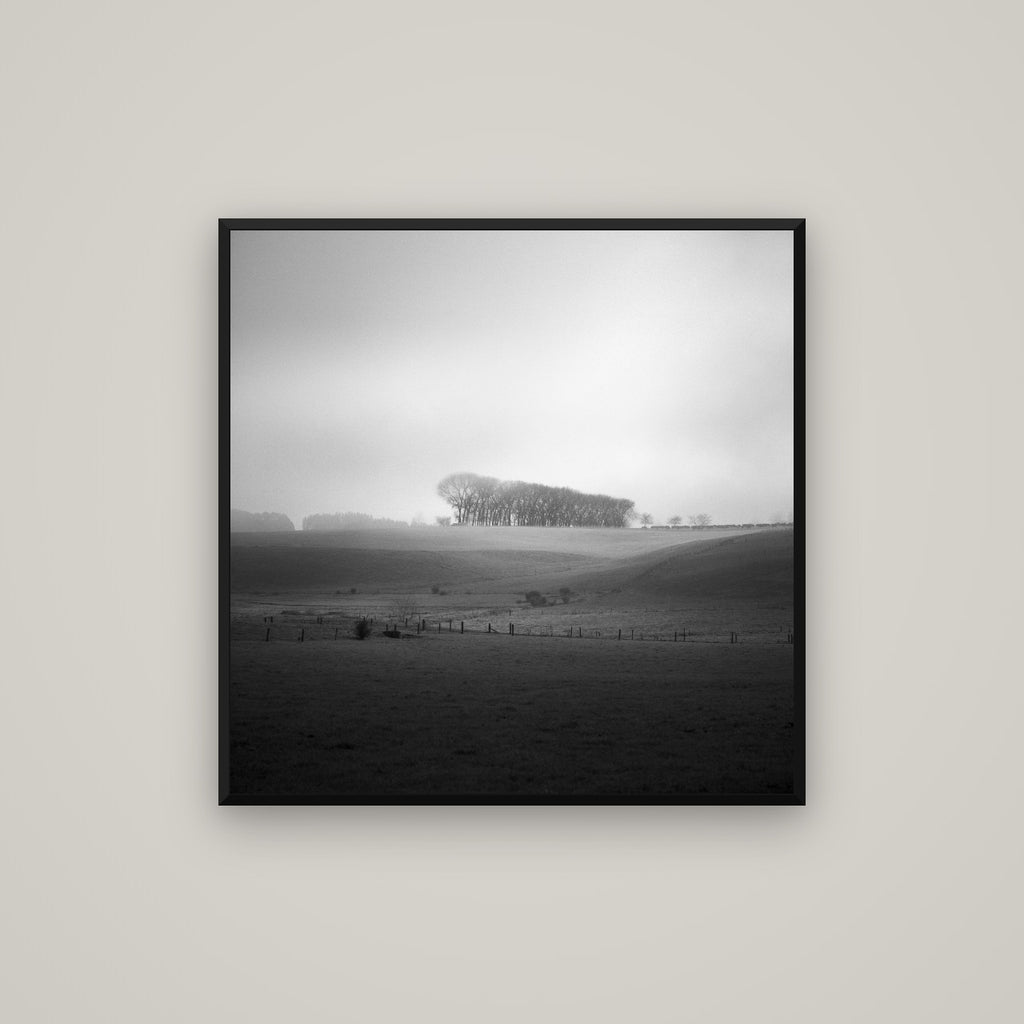 Misty Horizon, Waikato — Basel Black Matte, 80×80 cm. New Zealand fine art wall art by Stephen Milner.