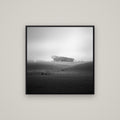 Misty Horizon, Waikato — Basel Black, 80×80 cm. New Zealand fine art wall art by Stephen Milner.