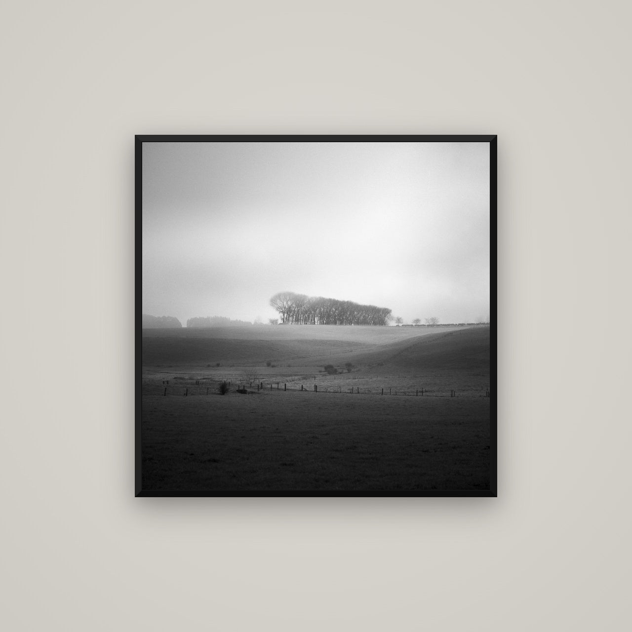 Misty Horizon, Waikato — Basel Black, 80×80 cm. New Zealand fine art wall art by Stephen Milner.